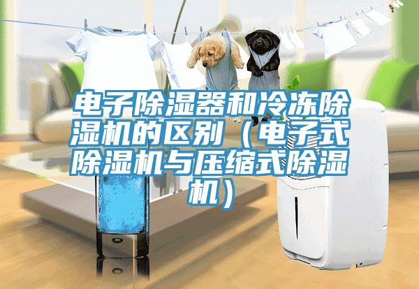 電子除濕器和冷凍除濕機(jī)的區(qū)別（電子式除濕機(jī)與壓縮式除濕機(jī)）