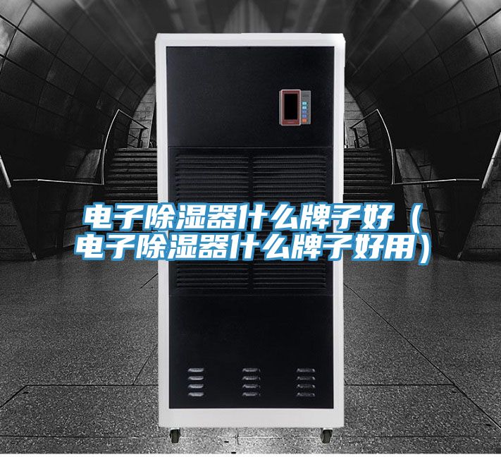 電子除濕器什么牌子好（電子除濕器什么牌子好用）