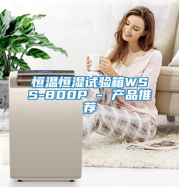 恒溫恒濕試驗(yàn)箱WSS-800P - 產(chǎn)品推薦
