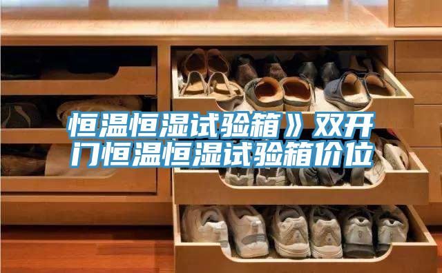 恒溫恒濕試驗(yàn)箱》雙開(kāi)門恒溫恒濕試驗(yàn)箱價(jià)位