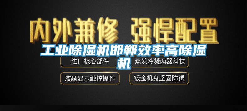 工業(yè)除濕機邯鄲效率高除濕機