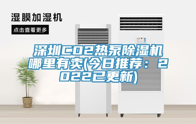 深圳CO2熱泵除濕機(jī)哪里有賣(今日推薦：2022已更新)