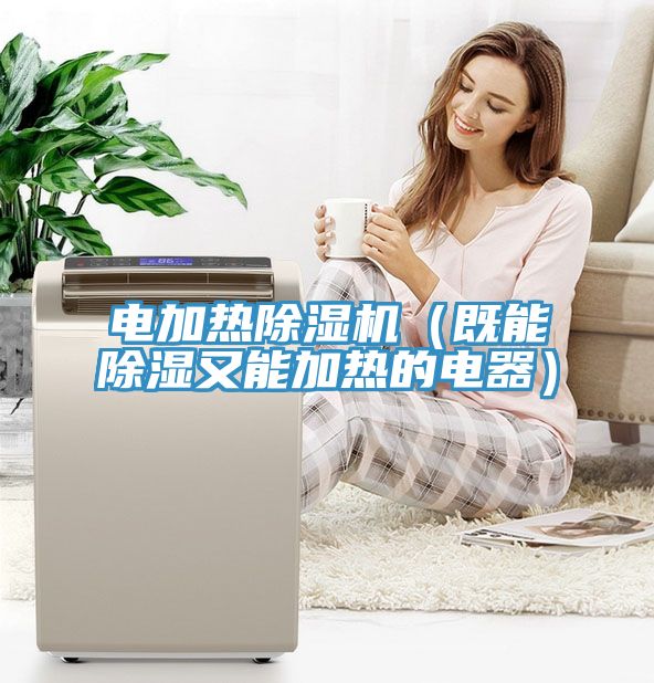 電加熱除濕機（既能除濕又能加熱的電器）