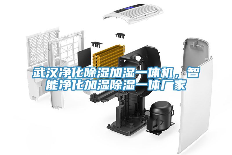 武漢凈化除濕加濕一體機(jī)，智能凈化加濕除濕一體廠家