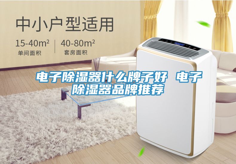 電子除濕器什么牌子好 電子除濕器品牌推薦