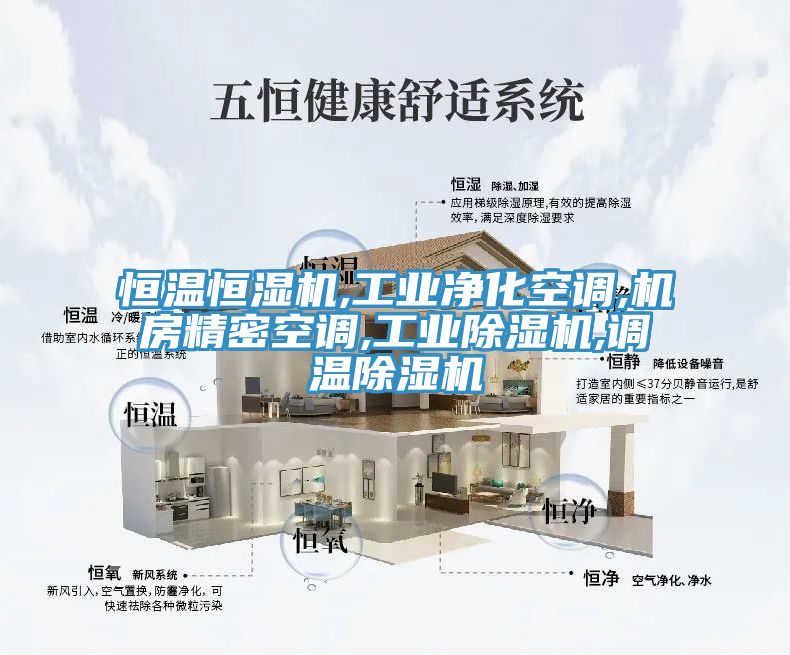 恒溫恒濕機,工業(yè)凈化空調(diào),機房精密空調(diào),工業(yè)除濕機,調(diào)溫除濕機