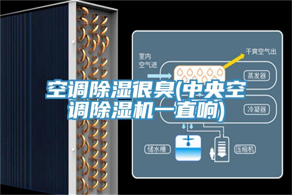 空調(diào)除濕很臭(中央空調(diào)除濕機(jī)一直響)