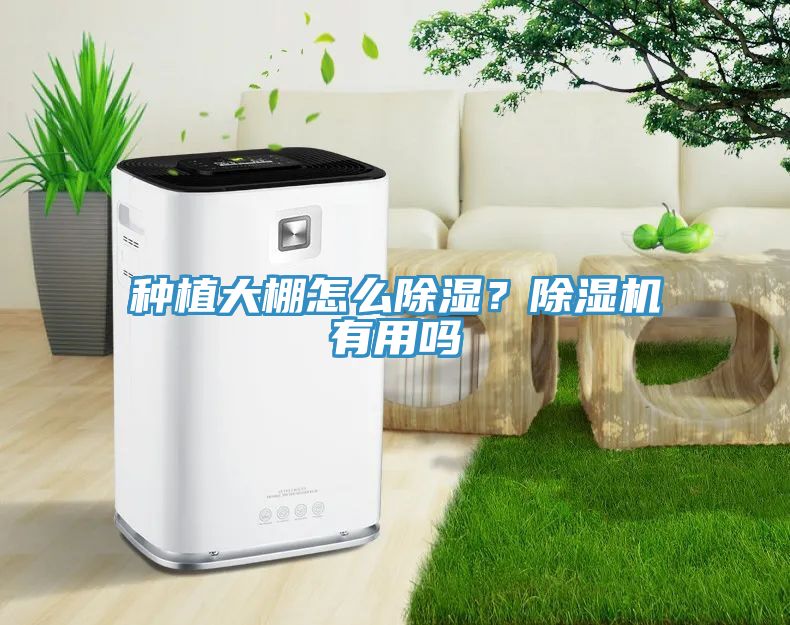 種植大棚怎么除濕？除濕機(jī)有用嗎