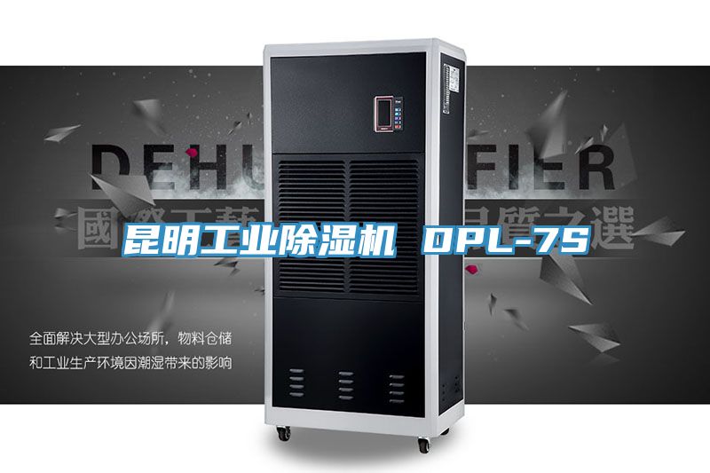 昆明工業(yè)除濕機(jī) DPL-7S