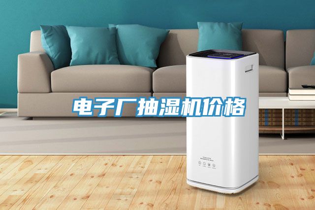 電子廠抽濕機價格