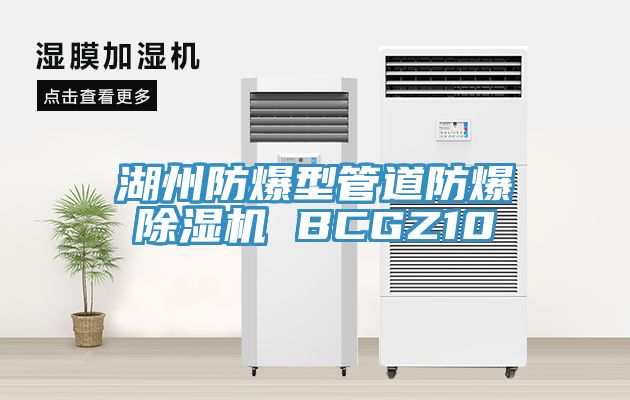 湖州防爆型管道防爆除濕機(jī) BCGZ10