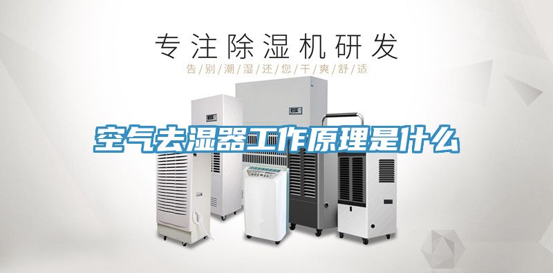 空氣去濕器工作原理是什么