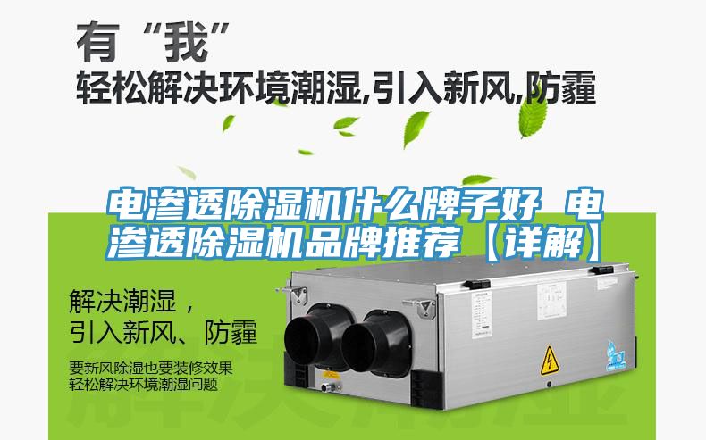 電滲透除濕機(jī)什么牌子好 電滲透除濕機(jī)品牌推薦【詳解】