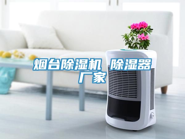 煙臺除濕機 除濕器廠家