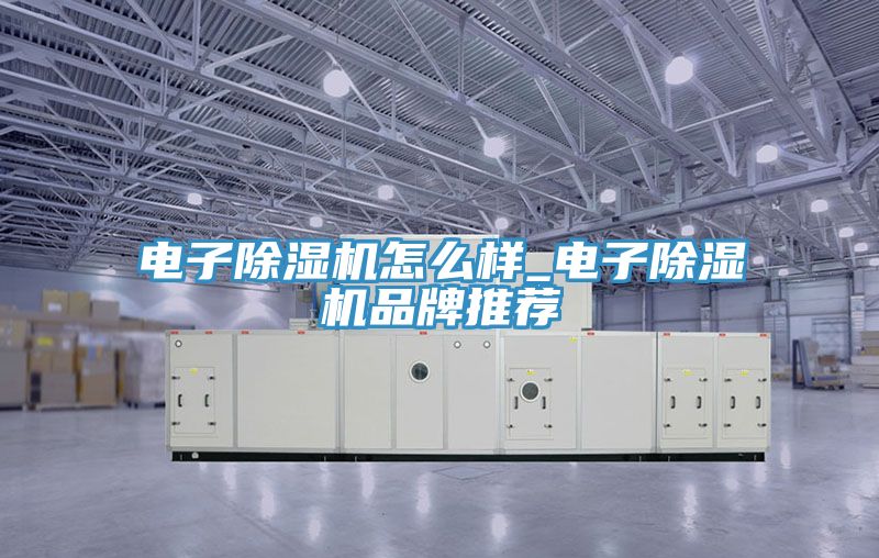 電子除濕機(jī)怎么樣_電子除濕機(jī)品牌推薦