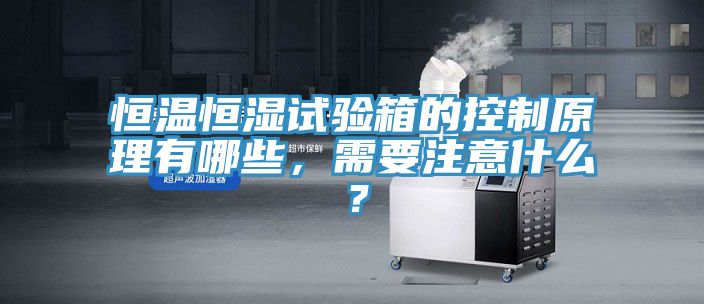 恒溫恒濕試驗(yàn)箱的控制原理有哪些，需要注意什么？