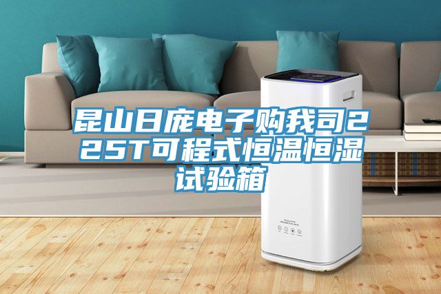 昆山日龐電子購(gòu)我司225T可程式恒溫恒濕試驗(yàn)箱