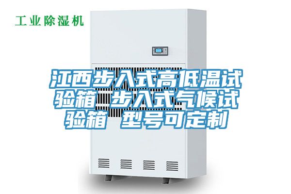 江西步入式高低溫試驗箱 步入式氣候試驗箱 型號可定制