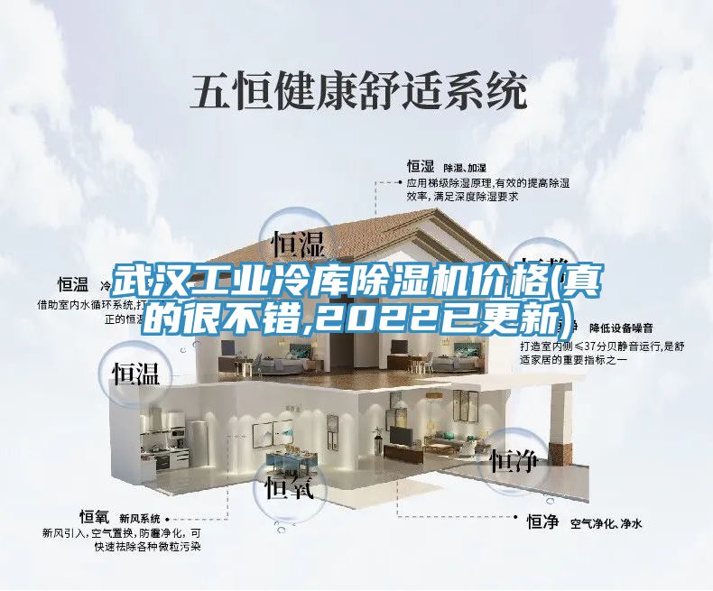 武漢工業(yè)冷庫除濕機(jī)價(jià)格(真的很不錯(cuò),2022已更新)