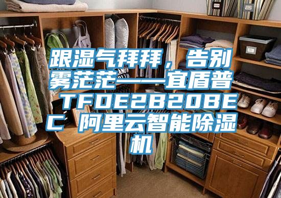 跟濕氣拜拜，告別霧茫茫——宜盾普 TFDE2B20BEC 阿里云智能除濕機