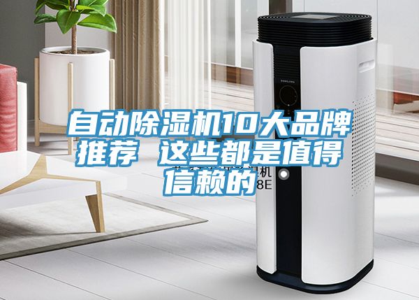 自動(dòng)除濕機(jī)10大品牌推薦 這些都是值得信賴的