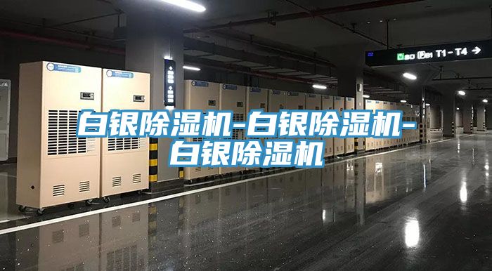 白銀除濕機-白銀除濕機-白銀除濕機