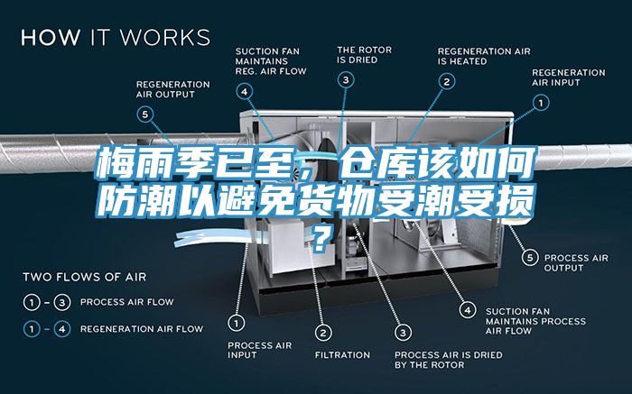 梅雨季已至，倉庫該如何防潮以避免貨物受潮受損？