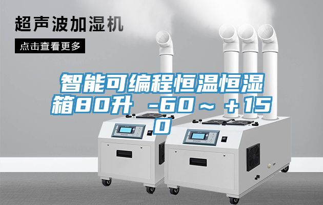 智能可編程恒溫恒濕箱80升 -60～＋150℃