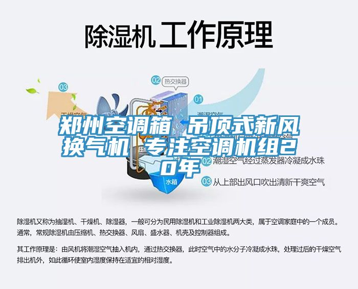 鄭州空調(diào)箱 吊頂式新風換氣機 專注空調(diào)機組20年