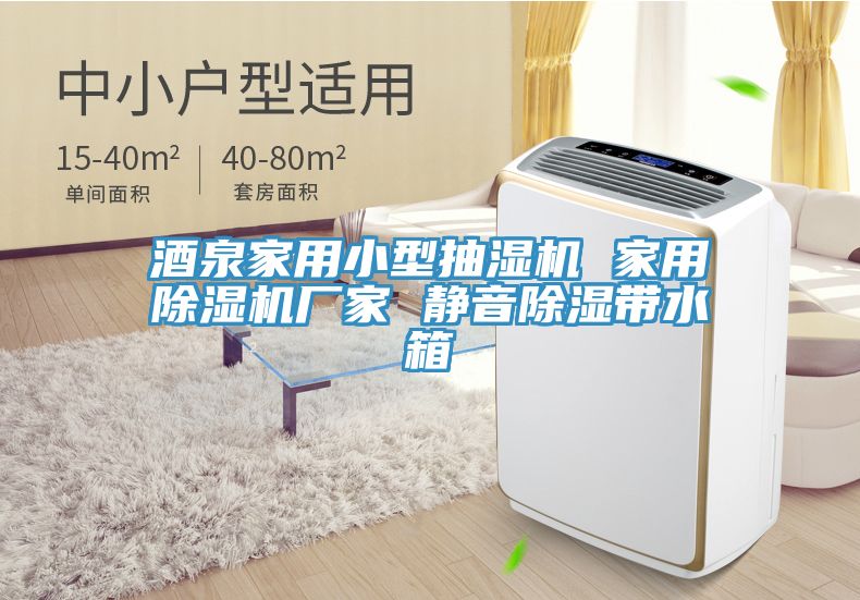 酒泉家用小型抽濕機(jī) 家用除濕機(jī)廠家 靜音除濕帶水箱