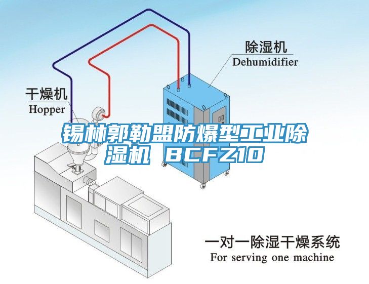 錫林郭勒盟防爆型工業(yè)除濕機(jī) BCFZ10