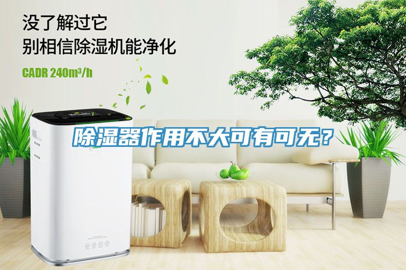 除濕器作用不大可有可無？