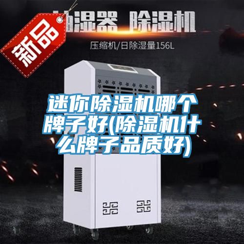 迷你除濕機哪個牌子好(除濕機什么牌子品質(zhì)好)