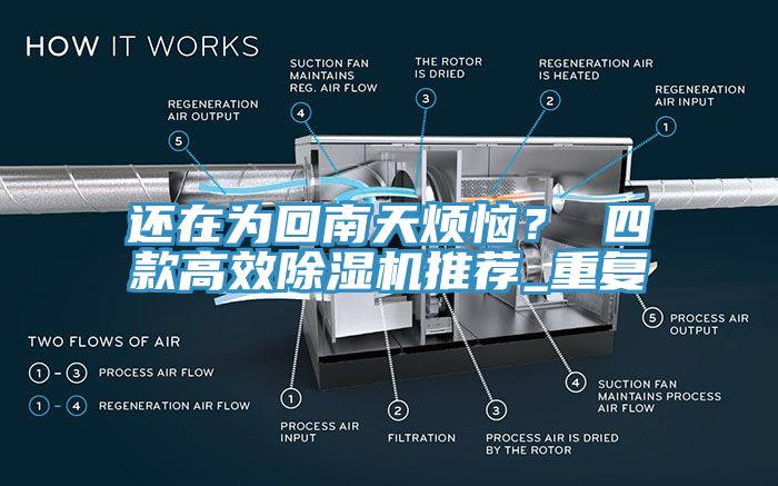 還在為回南天煩惱？ 四款高效除濕機(jī)推薦_重復(fù)