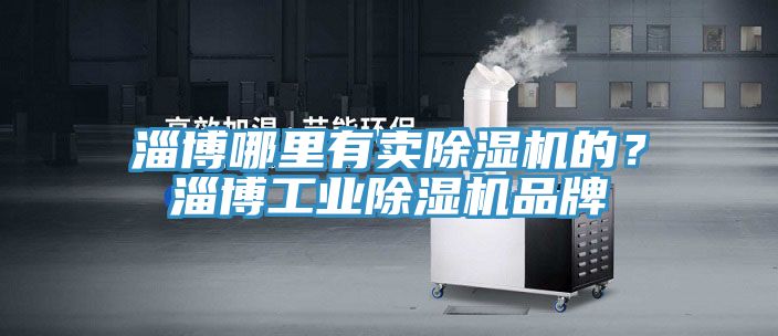 淄博哪里有賣除濕機的？淄博工業(yè)除濕機品牌