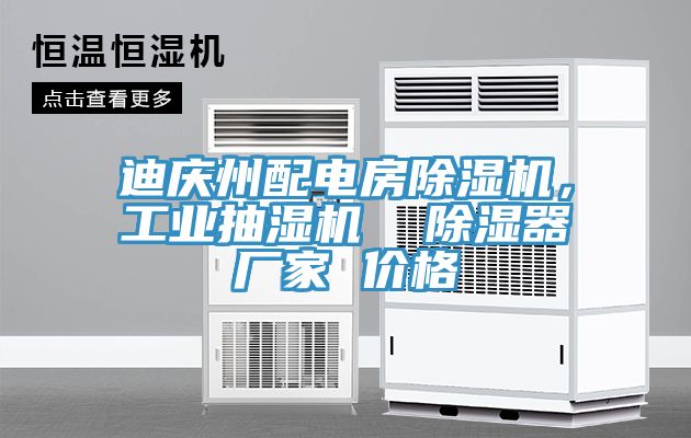 迪慶州配電房除濕機(jī)，工業(yè)抽濕機(jī)  除濕器廠家 價(jià)格