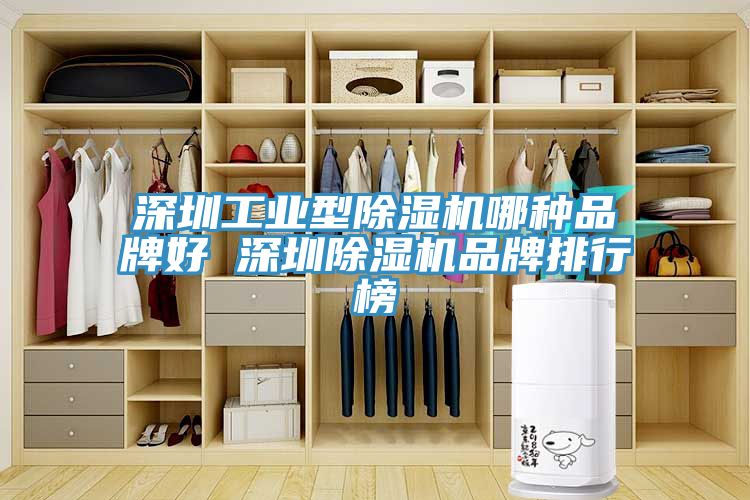 深圳工業(yè)型除濕機哪種品牌好 深圳除濕機品牌排行榜