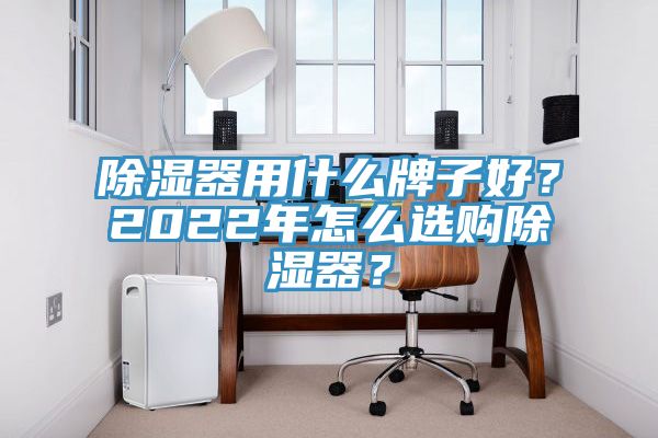 除濕器用什么牌子好？2022年怎么選購除濕器？