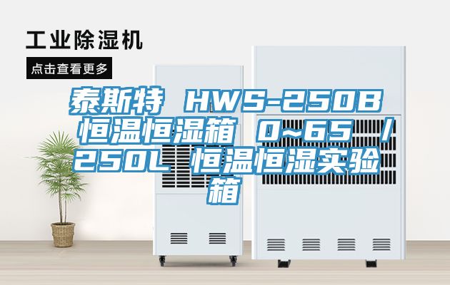 泰斯特 HWS-250B 恒溫恒濕箱 0~65℃／250L 恒溫恒濕實驗箱