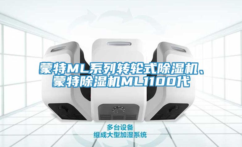 蒙特ML系列轉(zhuǎn)輪式除濕機、蒙特除濕機ML1100代