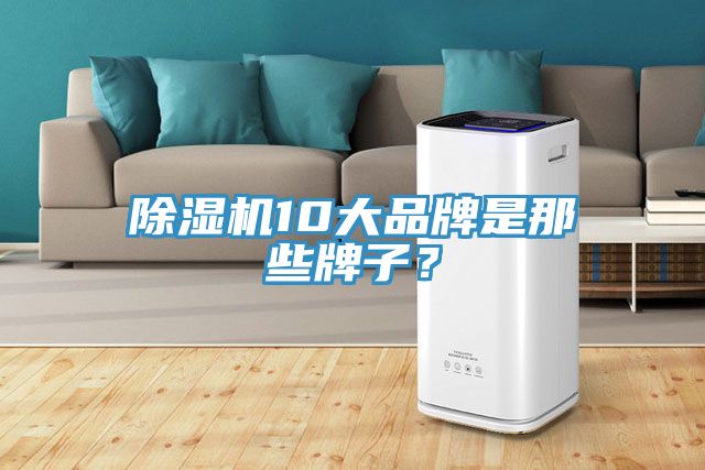 除濕機10大品牌是那些牌子？