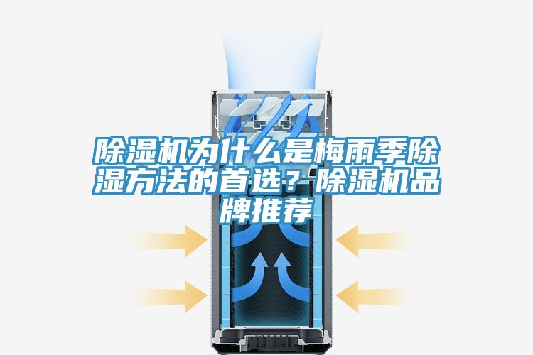 除濕機(jī)為什么是梅雨季除濕方法的首選？除濕機(jī)品牌推薦