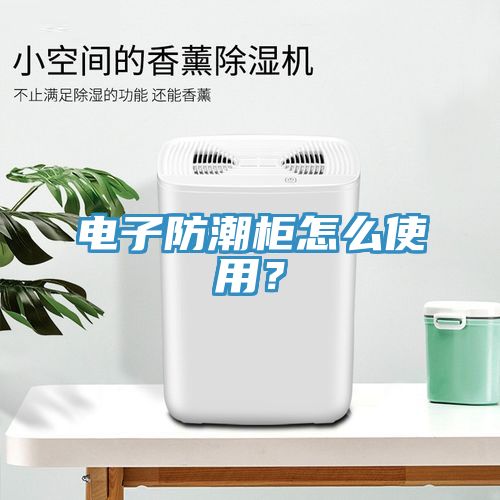 電子防潮柜怎么使用？