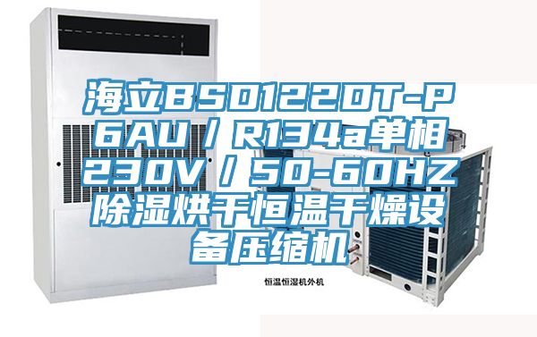 海立BSD122DT-P6AU／R134a單相230V／50-60HZ除濕烘干恒溫干燥設(shè)備壓縮機(jī)