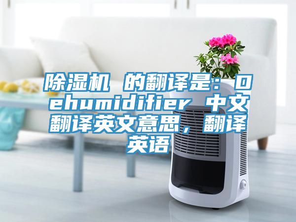 除濕機(jī) 的翻譯是：Dehumidifier 中文翻譯英文意思，翻譯英語