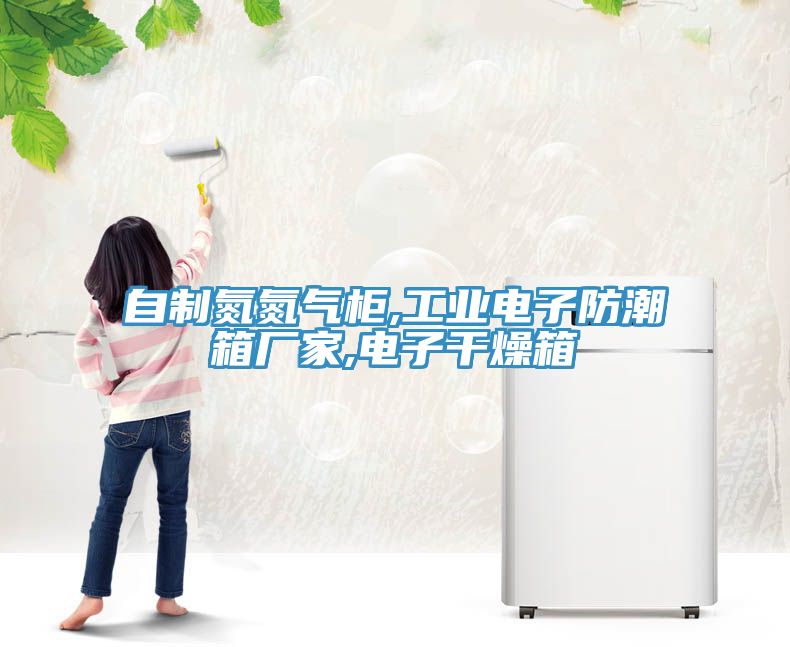 自制氮氮?dú)夤?工業(yè)電子防潮箱廠家,電子干燥箱