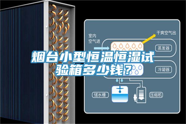 煙臺小型恒溫恒濕試驗箱多少錢？