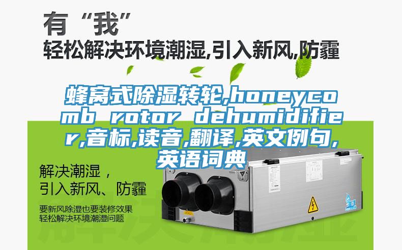 蜂窩式除濕轉(zhuǎn)輪,honeycomb rotor dehumidifier,音標(biāo),讀音,翻譯,英文例句,英語詞典