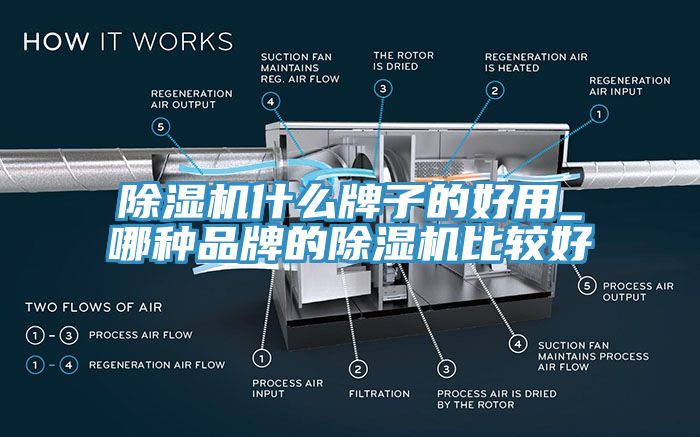 除濕機(jī)什么牌子的好用_哪種品牌的除濕機(jī)比較好