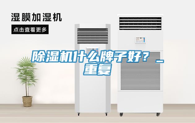 除濕機(jī)什么牌子好？_重復(fù)